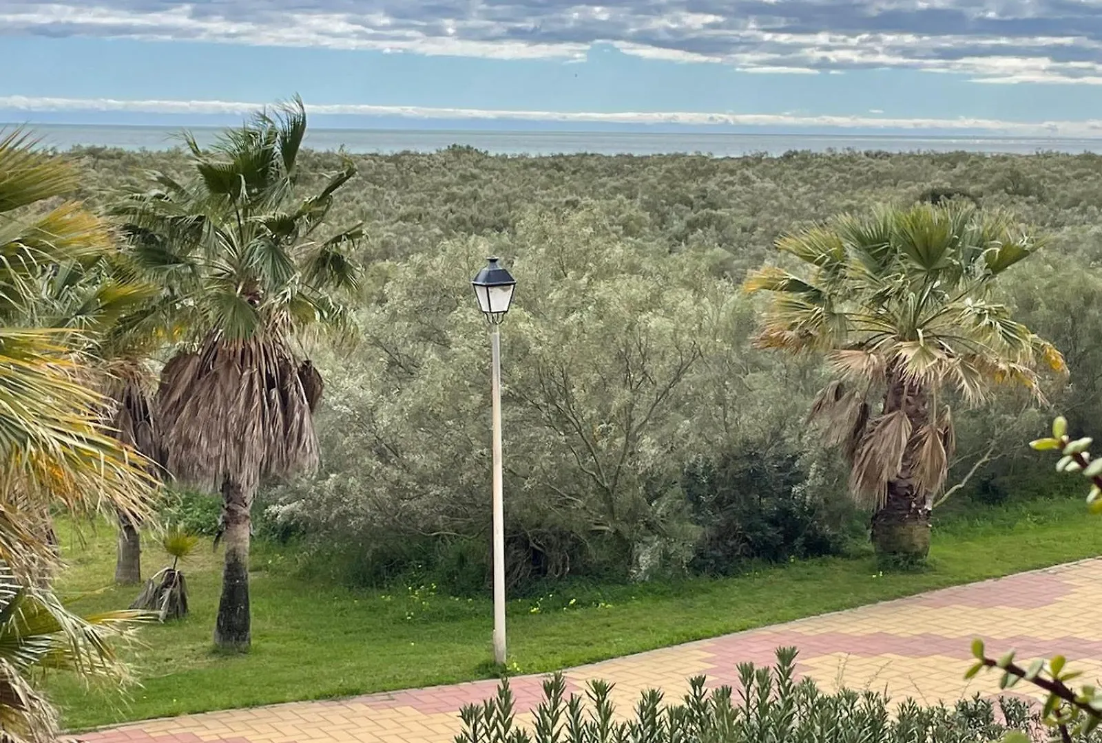 Urb. Jardines De Isla Canela Primera Planta